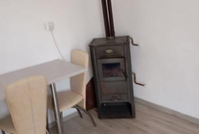 Casa de vanzare in Sacel - 2 corpuri locuibile, 3 bai, gradina, teren generos - 11