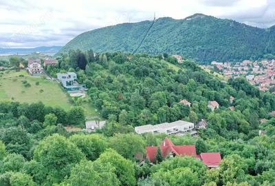 Teren Intravilan - Vedere Panoramica - 10