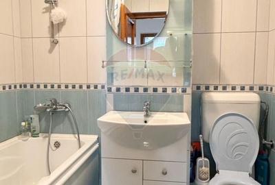 Apartament spatios de vanzare in zona turistica - Sinteu, Bihor - 12
