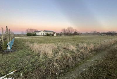 Teren de 474 mp, în Șofronea - 2