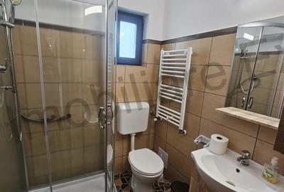 Casă în Nucșoara - 17