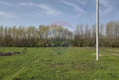 Teren în Țegheș - 6