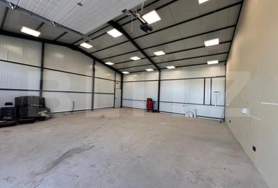 Hala 290,6 mp si 1263 mp teren, zona Carcea - 4