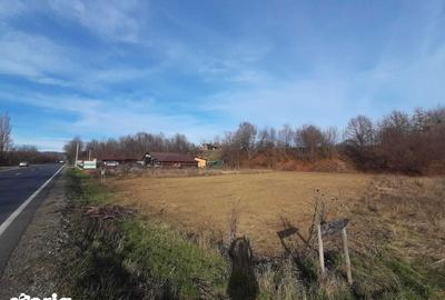 Teren de 5000 mp, în Crăcăoani - 2
