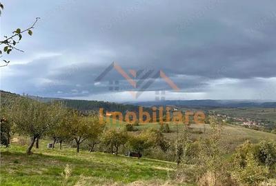 Teren de 9341 mp, în Bălnaca - 11