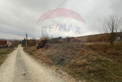 Teren intravilan de vânzare 2.307 mp – Sălicea, comuna Ciurila - 7