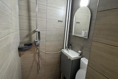 Garsonieră decomandată în Bascov - 4