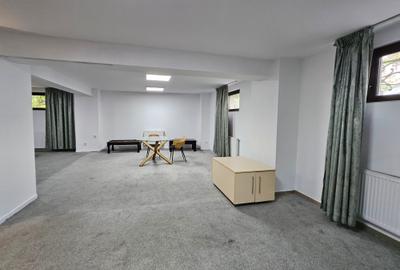 Spatii birou Grozavesti - Demisol, Parter si Etaj 1 - 9