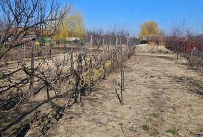 Casă cu 3 camere cu Teren 1080 Mp în Central - 3