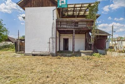 Pensiune în Geoagiu pe malul râului Mureș - 6