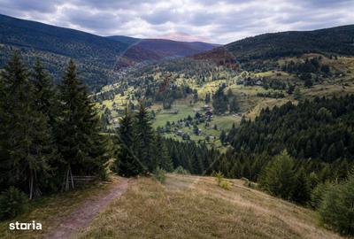 Spațiu comercial, în Galbena - 9