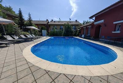 Vilă cu 5 camere de închiriat în zona Iancu Nicolae - 14