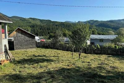 Casă cu Teren 1642 Mp în Greșu - 2