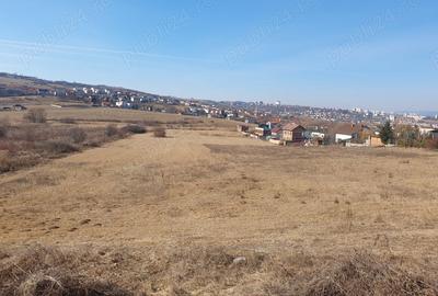 Teren de 5000 mp, în Borhanci