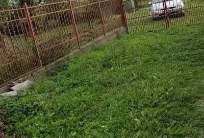 Casă cu 4 camere în Hațeg - 9