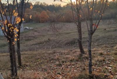 Spațiu comercial, în Hârsa - 3