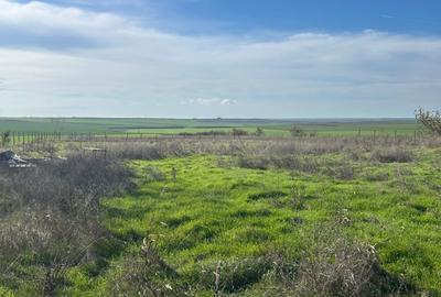Teren agricol extravilan de 5000 mp, în Poiana - 7