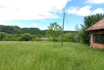 Borlovenii Noi, Teren Drept, 16000mp, la Limita Localitatii - 6