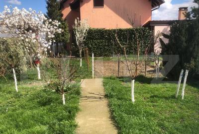 Casa cu 3 camere si anexe, 170 mp, zona Carpati 2 - 15