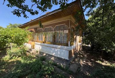 Vand casa la ?ara localitatea Vlasceni - 8