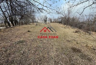 Casă cu Teren 3074 Mp în Cornu - 8