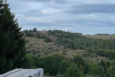 Casă cu 5 camere în Gărâna