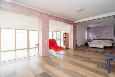 Casa / Vila cu 10 camere, de vanzare. Todireni, Botosani. - 25