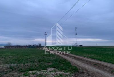 Teren de 2635 mp, în Zăbrani - 2