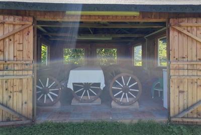 Locatie cu patru anotimpuri intr- o zi, incadrata de 2.350 teren, Bran - Fundata - 11