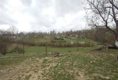 Teren de 9370 mp, în Țebea - 20