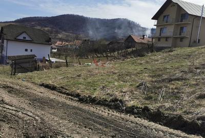 Teren intravilan , cu proiect pentru casa in Dej - 12