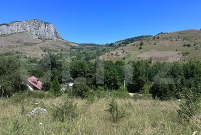 Teren de 6000 mp, în Aiudul de Sus