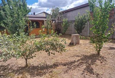 Casa Parter de vanzare Chiajna - 4