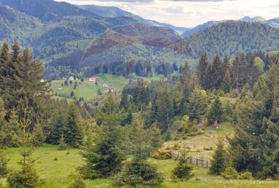 O fereastra catre cer teren de vis in Fundata, la ... - 18