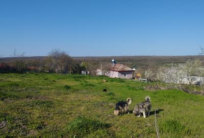 Casă individuală cu 2 camere cu Teren 2500 Mp în Dumbrăveni - 12