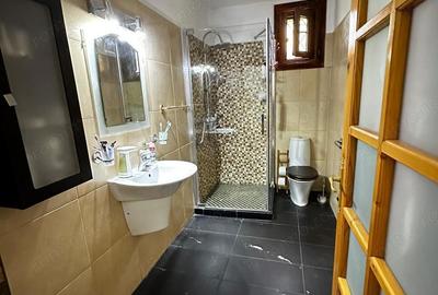 Casă cu 10 camere cu Teren 808 Mp în Șagului