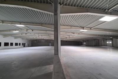 Hala productie Timisoara,  4800 mp,  Exterior Nord - 5