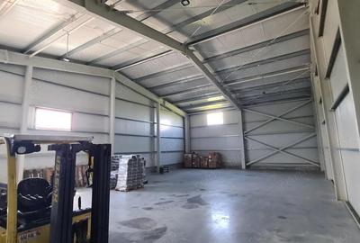 Hala industriala, platforma betonata, 300 mp - 2