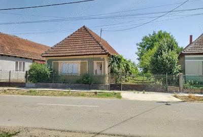 Judetul Satu-Mare Comuna Porumbesti Sat Cidreag Strada Principala nr 12