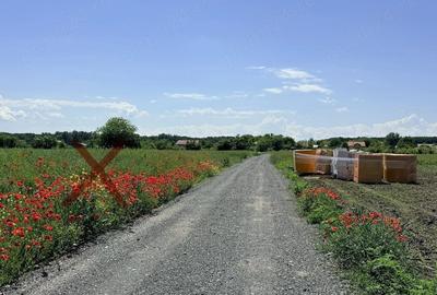 Teren de 5000 mp, în Mihai Vodă - 2