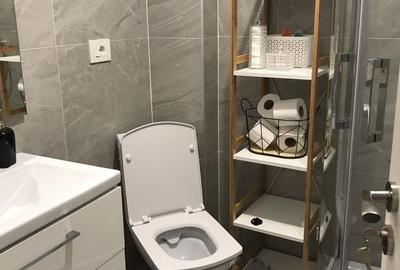 Apartament cu 2 camere semidecomandat în Valea Lupului - 6