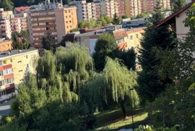 Garsoniera spatioasa - moderna- Răcădau - 4