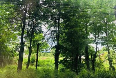 Teren Construcții intravilan de 600 mp, în Băneasa - 3