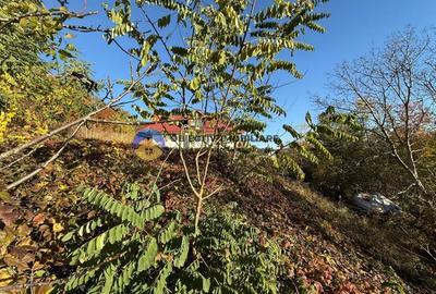 Teren intravilan 1543 mp - zona Darmanesti Teren intravilan 1543 mp - zona Darmanesti - 7