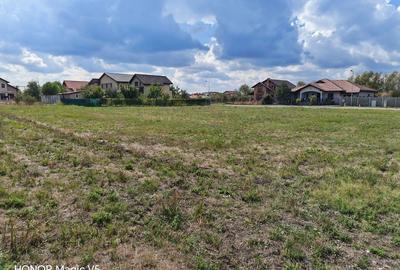 Teren rezidential Sacalaz - 8