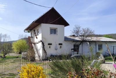 Casă cu 4 camere în Ribița - 7