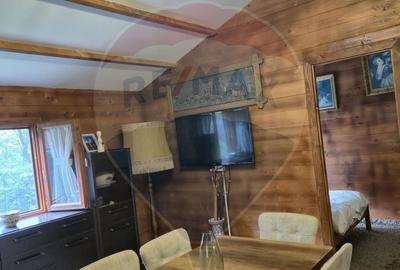Casă cu 3 camere cu Teren 1268 Mp în Săpânța - 13