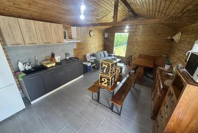 Pensiune Retrasa Ideala Petreceri Private Costinesti - Schitu - 2