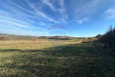 Teren agricol extravilan de 12934 mp, în Bogdand - 1