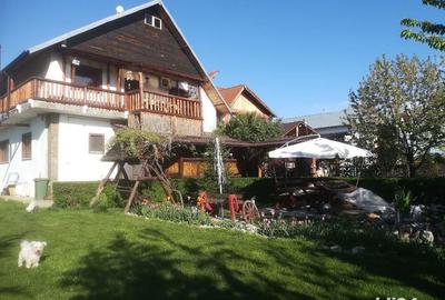 Casă cu 4 camere cu Teren 3000 Mp în Teiș - 2